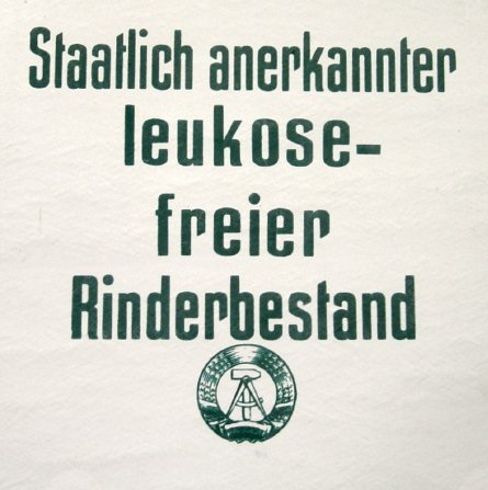 Veranstaltungsbilder 2006
